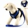 A set of ammunition with a soft harness and a reflective patch, m, Osh 26 cm, OG 36-44 cm, blue 76143