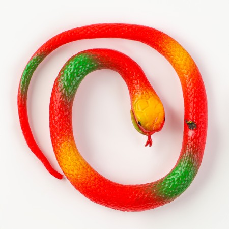 Rubber snake "Snake", species mix-2