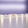 Maytoni LED tape, 24V, IP20, 5050, 12W/m, 3000k, 5 m, monochrome glow