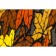 Rapid PHP Srl Format Classic “Leaves”, 40 x 68 cm