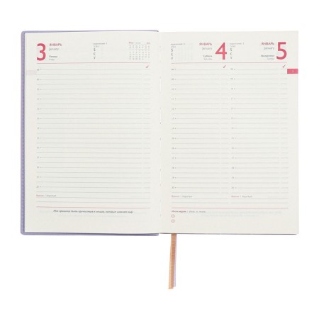 Dated 2025 diary, A5, 176 sheets of Escalada, a solid cover made of artificial leather, foil embossing, liesse, cream block 70 g/m2, lilac-11