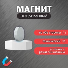 Silver Technical Magnet 8x1.2 mm