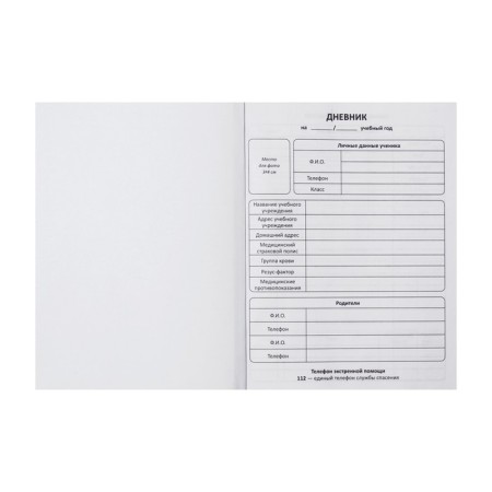 Universal diary for grades 1-11 "Angel", hard cover, glossy lamination, cheat sheet, 48 sheets-3