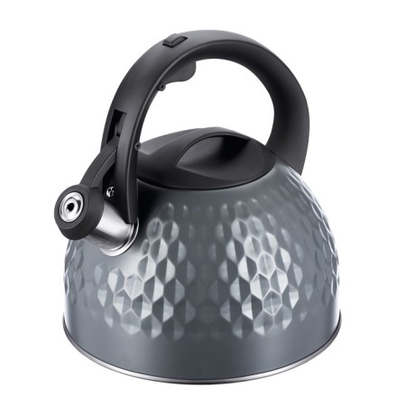 Teapot Regent Inox Tea, with a whistle, 2.6 l + a gift of a strain for brewing tea