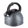 Teapot Regent Inox Tea, with a whistle, 2.6 l + a gift of a strain for brewing tea