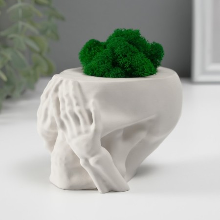 Kashpo Concrete "Seek Skull" with moss 7x10 cm white (moss green stabilized)