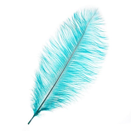 Feather for decor, length: from 45 to 50 cm, sea wave color