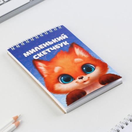 Sketchbook A6, 40 l. 100 g/m "Fox"-1