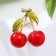 Brooch "Cherry" with two leaves on a branch, the color is red-green in gold