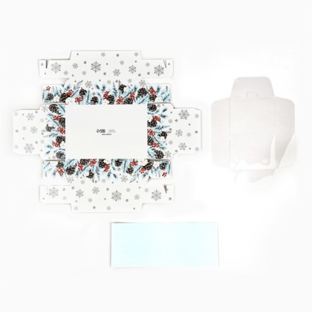 Folding box with a plastic lid "Snow Botany", 16.5 x 11 x 4 cm, New Year-4