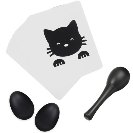 Developing set according to the method of G. Doman: developing cards and rattles, crumb I