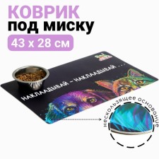 A rug for a bowl 