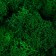 Moss stabilized "bright green" 45 grams (+-5 gr)