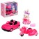 Set with a pet "animals. Automobile"