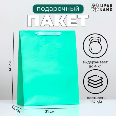 Laminated “turquoise” package, 31 x 40 x 14 cm