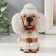 Souvenir Polystone stand for glasses "Poodle" 9x8x13 cm
