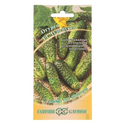 Seeds of cucumber "Miracle bouquet" F1, super -someroye, parthenocarpic, 10 pcs.-2