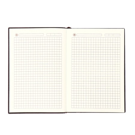 The diary is low, the A6+format, 116 sheets, cage, burgundy light, tonir. cut-6