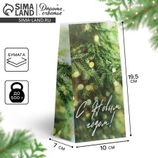 A package without handles “Happy New Year”, spruce spray, 10 x 19.5 x 7 cm, New Year