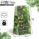 A package without handles “Happy New Year”, spruce spray, 10 x 19.5 x 7 cm, New Year