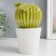 Souvenir Ceramics "Cactus blooming in a pot" Green 11x12x21 cm