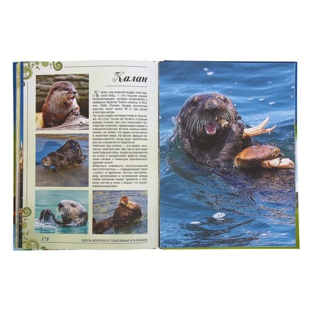 A big book about animals. 1001 photography. Ermakovich D.I.-6