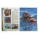 A big book about animals. 1001 photography. Ermakovich D.I.