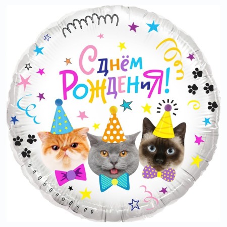 Foil ball 18 "Happy Birthday! Kotiki", Circle, in packaging