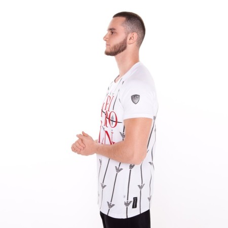 T -shirt male, white color/print mix, size l-2