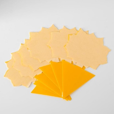 Nadzor adhesive from insects for indoor flowers, 12 pcs-3