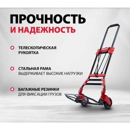Carries, carrying capacity 80 kg, 38.8x27x99 cm-2