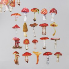 Stickers for creativity PLC PVC 