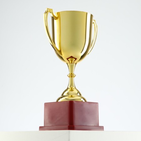 Cup 012, award figure, gold, plastic stand, 19.2 × 11.5 × 8 cm.-2