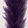 Sukhotzet "Cortery", 1 branch, length 140-150 cm, purple