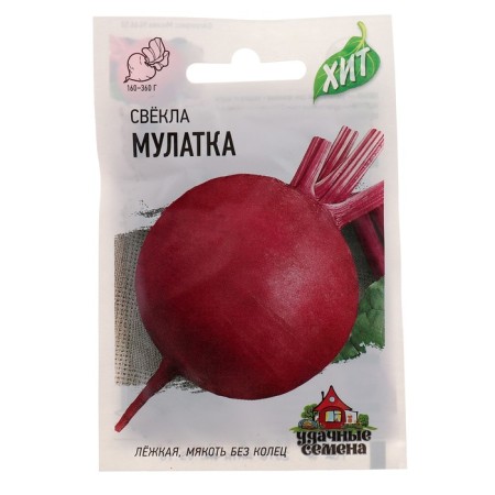 Beets "Mulattus", 1 g Series Hit X3