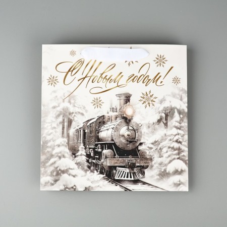 Package Gift New Year's laminated square "New Year's train", 22 x 22 x 11 cm, New Year-3