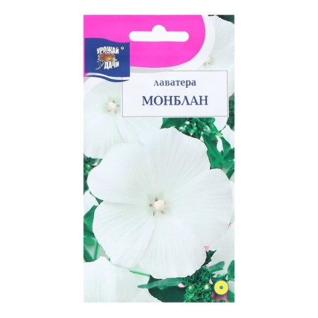 Flower seeds "Montblan", 0.2 g