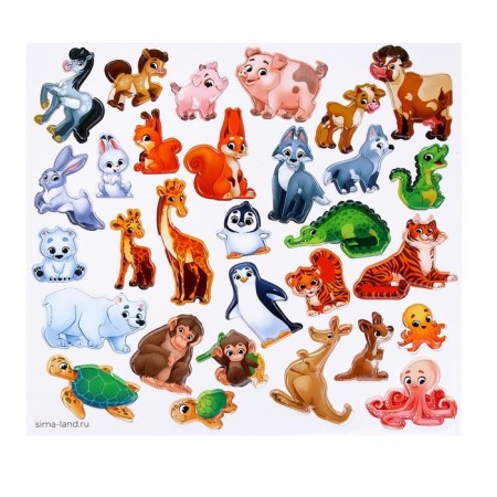 A set of magnets for games and training "Zoo"-3