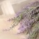 Bouquet "Is the yarrow" 35 cm, purple