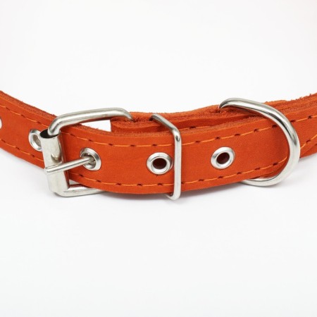 Collar leather single-layer, embossed "beauty", 48 x 2 cm, Osh 32-43 cm, mix of flowers-3