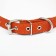 Collar leather single-layer, embossed "beauty", 48 x 2 cm, Osh 32-43 cm, mix of flowers