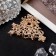 Hair crab "Vanessa" 5.5 cm, gold