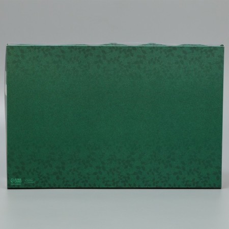 Cookie box, confectionery packaging with PVC lid, “expensive teacher”, 20 x 30 x 8 cm-4