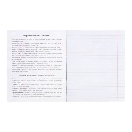 Notebook 48 sheets in the Error line "for essays", cover coated paper, block offset-1