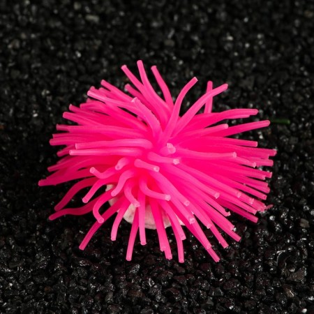 Decorative anemon for the aquarium, 8 x 5 cm, pink-1