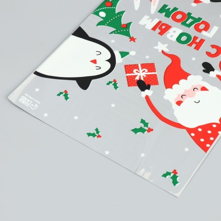 Plastic package "New Year's turmoil", 20 x 30 cm, New Year-2