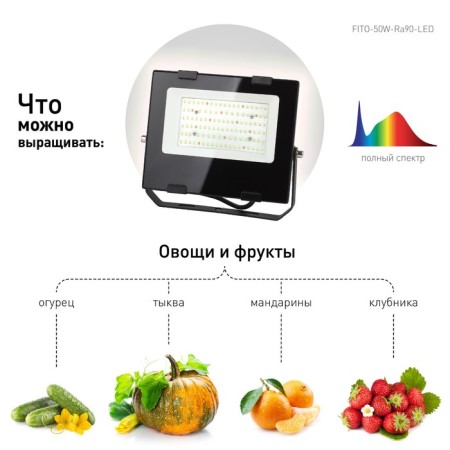 Phytoprotter for plants Fito-50W-RA90--led LED era for flowering and fruiting full-11