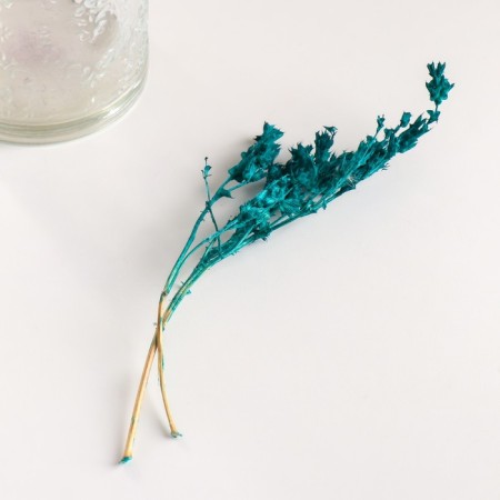 Set of dried flowers "chandra", banch length 40 (+/- 6 cm), emerald-3
