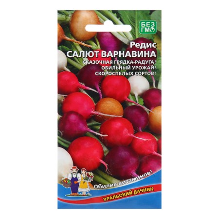 Seeds Radis "Salute Barnavin", 2 g