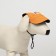 Cap for dogs, s (22-34 cm), orange
